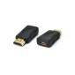 Adapter, üleminek: HDMI pistik - Mini HDMI pesa, Type A-C