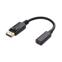 Adapter: 0.15m, Mini DisplayPort, female - DisplayPort, male
