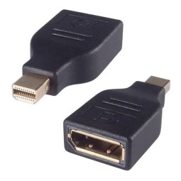 Adapter: Mini DisplayPort, male - DisplayPort, female
