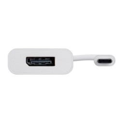 Adapter: USB-C, pistik - DisplayPort, 4K, 3840x2160, pesa