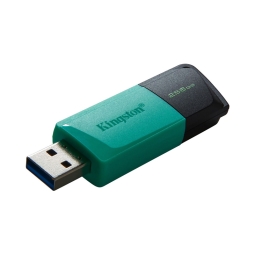 256GB USB 3.2 mälupulk Kingston Exodia M