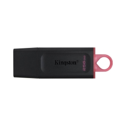 256GB USB 3.2 mälupulk Kingston Exodia DTX - Must