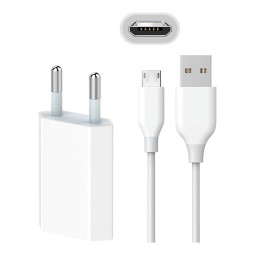 Charger Micro USB: Cable 1m + Adapter 1xUSB, up to 5W