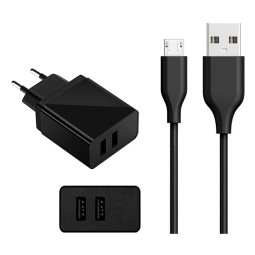 Charger Micro USB: Cable 1m + Adapter 2xUSB, up to 10W